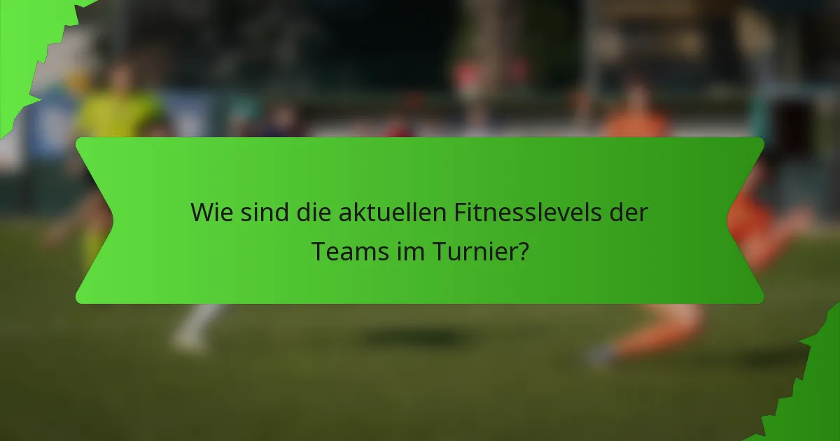 Wie sind die aktuellen Fitnesslevels der Teams im Turnier?